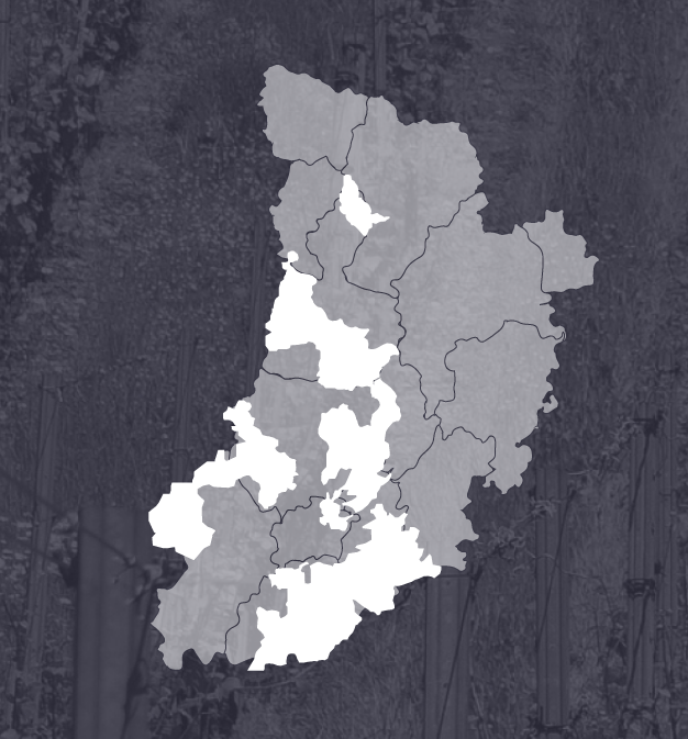 Àrees de la DO Costers del Segre de la província de Lleida.
