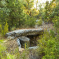 Dolmen d'Estall Nord o dolmen de Les Salteres I. L'Estall, Viacamp i Lliterà, Ribagorça. Osca, Aragó. Montsec d'Estall.