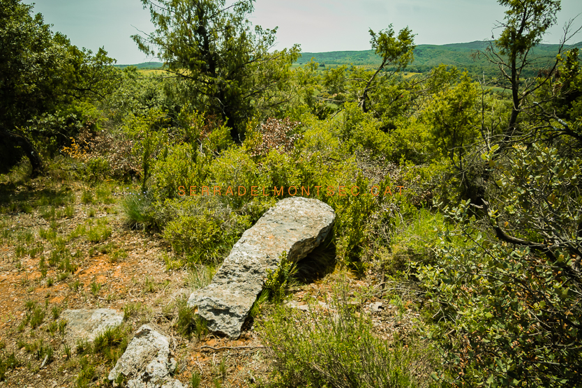 Possible menhir caigut que senyalitzaria el Dolmen de Mas d'Abad. Benavarri, Ribagorça. Montsec de l'Estall. Osca, Aragó.