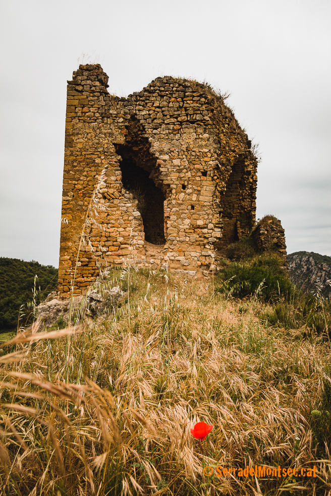 Restes de la contundent torre del castell de Rubió de Sols, Foradada. La Noguera, Lleida. Catalunya, Montsec de Rúbies o de Meià.