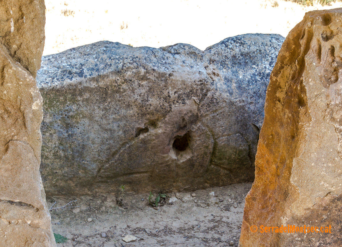 En una de les lloses verticals del dolmen de l'Espluga dels Tres Pilars (o de Sòls de Riu), s'hi troba un gravat rupestre que s'ha interpretat com la representació d'un cavall solar. La Torre de Rialb, Baronia de Rialb. La Noguera, Lleida. Catalunya. Montsec. 